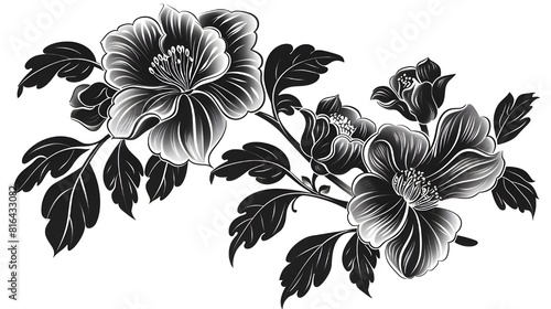 black and white flowers