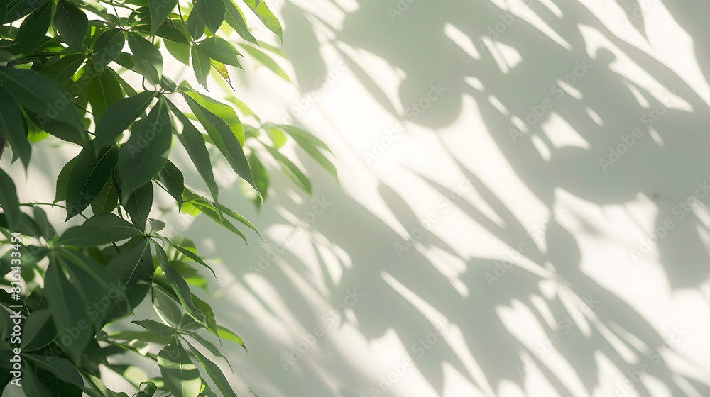 Abstract tree shadow blurred background with leaves tree branch and light shadow on white wall : Generative AI Abstract tree shadow blurred background with leaves tree branch and light shadow on white wall : Generative AI