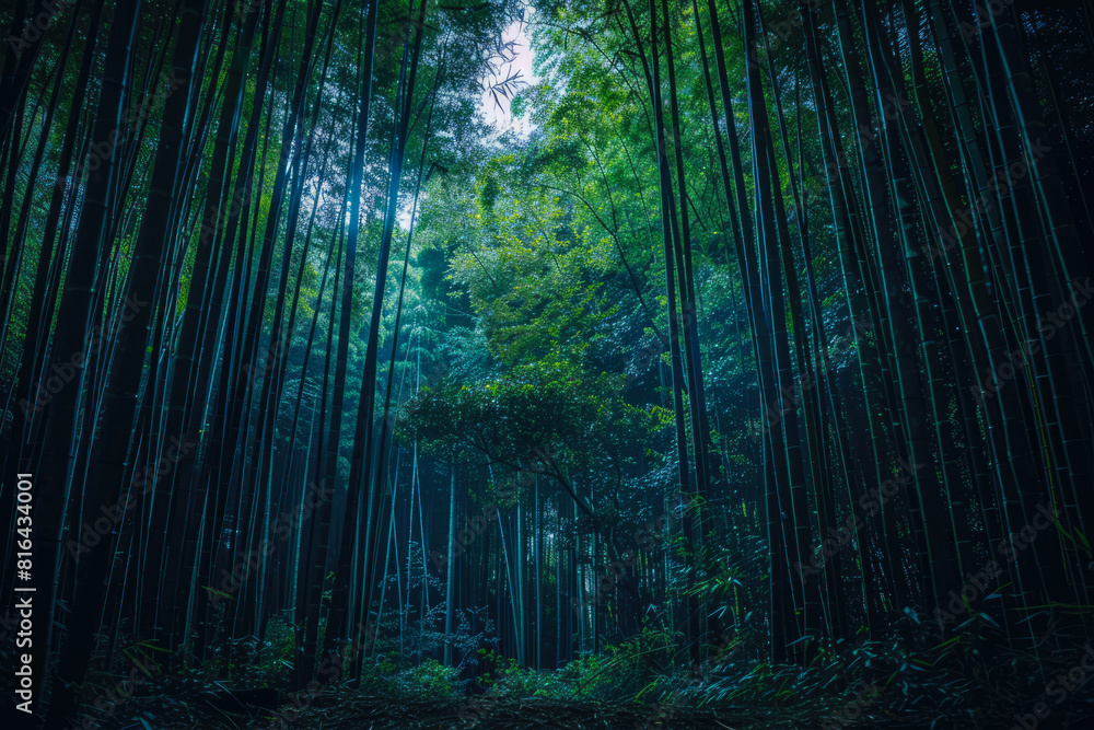 Naklejka premium Bamboo Forest In The Form Of A Tourist Photo For Background Created Using Artificial Intelligence