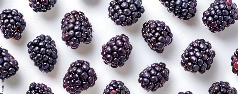 Sliced blackberries arranged in a circular pattern on a white background Sliced blackberries arranged in a circular pattern on a white background