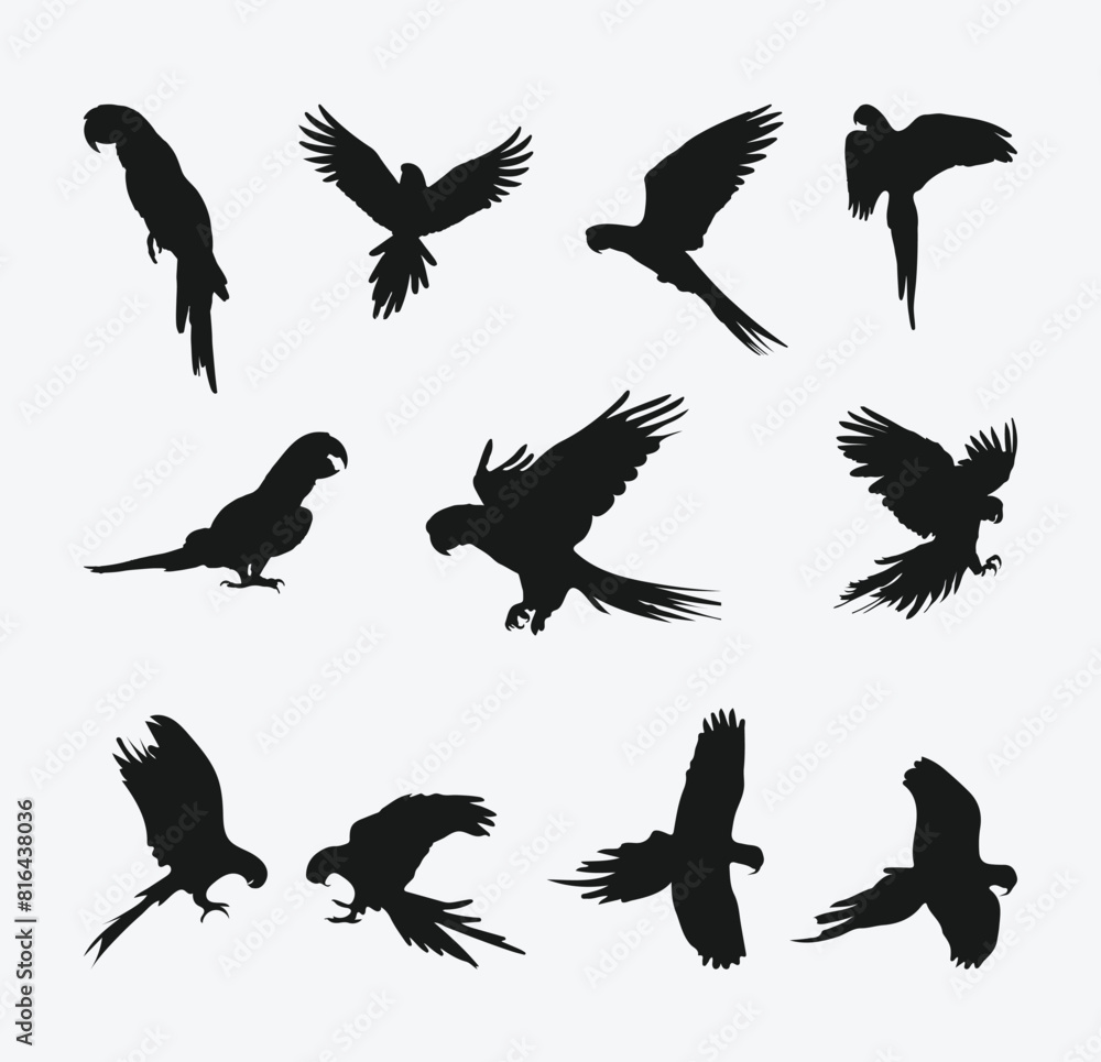 Fototapeta premium Majestic Macaws, Exquisite Silhouette Set Showcasing the Grace and Beauty of Parrot Birds