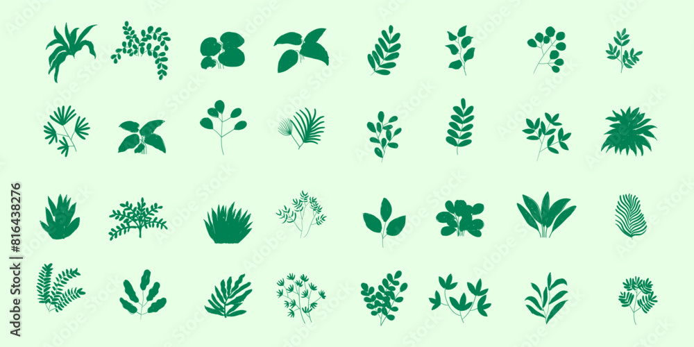 Set of plants, leaf, houseplants icon lines hand drawn vector illustration element. Floral, tropical symbol collection. Set of plants, leaf, houseplants icon lines hand drawn vector illustration element. Floral, tropical symbol collection.
