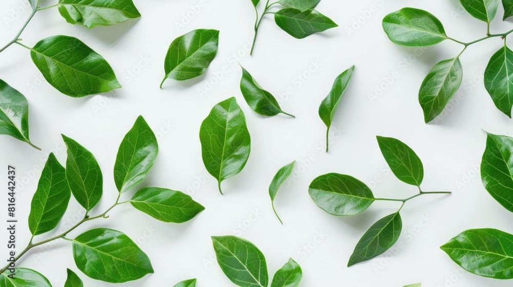 Green leaves on a white surface Green leaves on a white surface