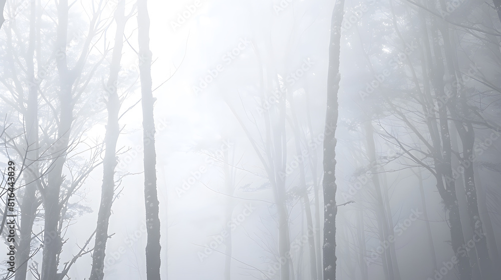 Forest covered in white fog : Generative AI Forest covered in white fog : Generative AI