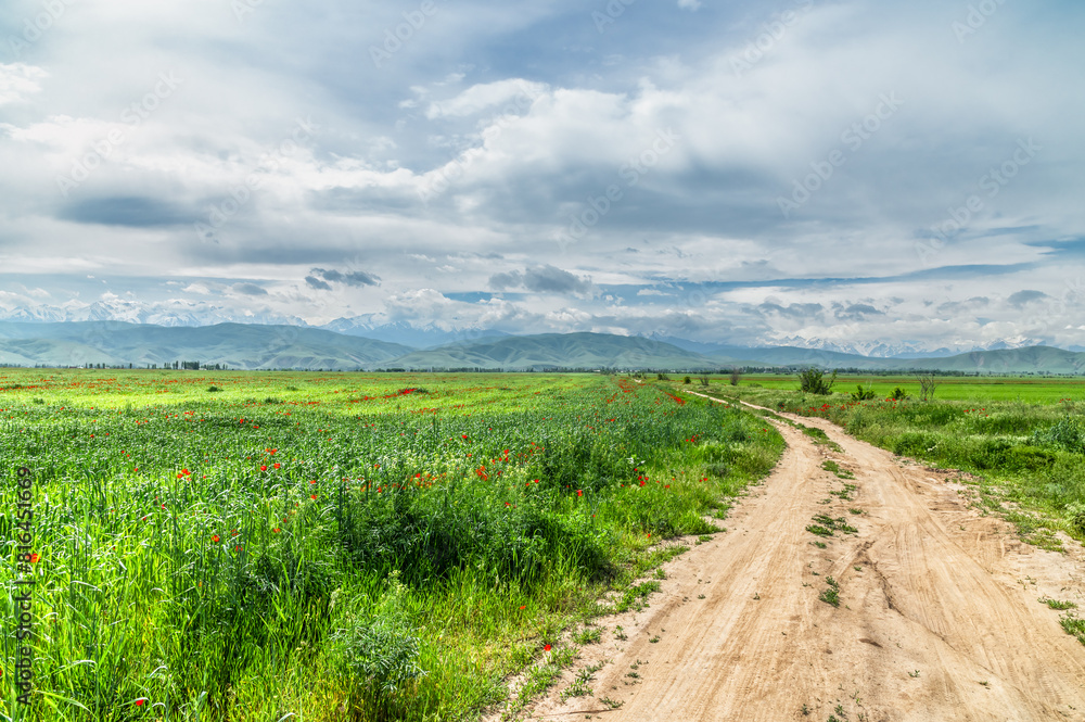 Country dirt road among green fields and red poppies. Country dirt road among green fields and red poppies.