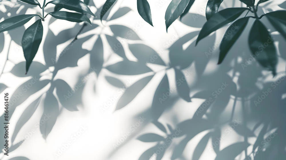 Abstract silhouette shadow white background of natural leaves tree branch falling on wall Transparent blurry shadow of tropical leaves morning sun light : Generative AI Abstract silhouette shadow white background of natural leaves tree branch falling on wall Transparent blurry shadow of tropical leaves morning sun light : Generative AI