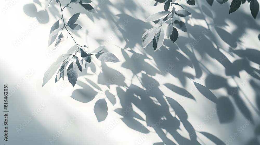 shadow tree with leaves on a white background : Generative AI shadow tree with leaves on a white background : Generative AI