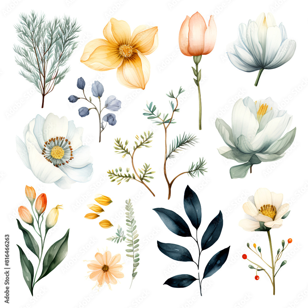 Watercolor stickers set clipart cananga flower Watercolor stickers set clipart cananga flower