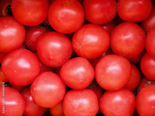 신선한 유기농 채소 빨간 토마토