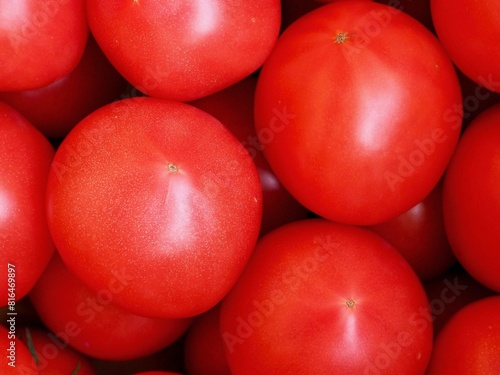 신선한 유기농 채소 빨간 토마토