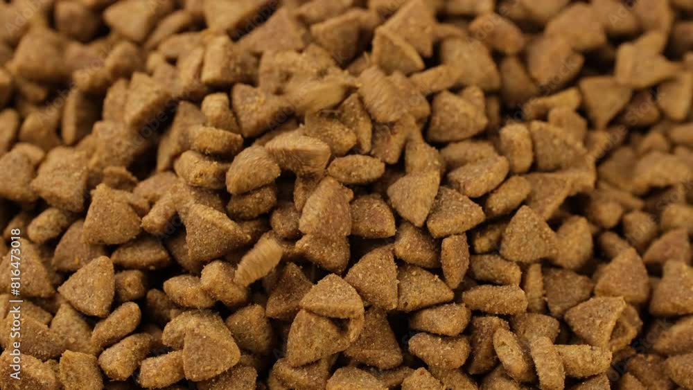 Dry dog food or cat food falling down in bowl Dry dog food or cat food falling down in bowl