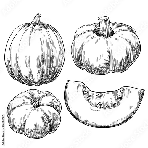 Pumpkin vintage vector black sketch