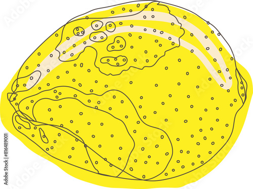 Lemon hand drawing. Citrus food. Vector illustration.