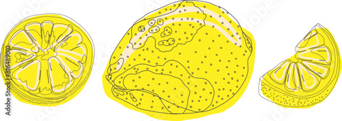 Lemons hand drawing. Citrus food. Vector illustration. For lemonade.