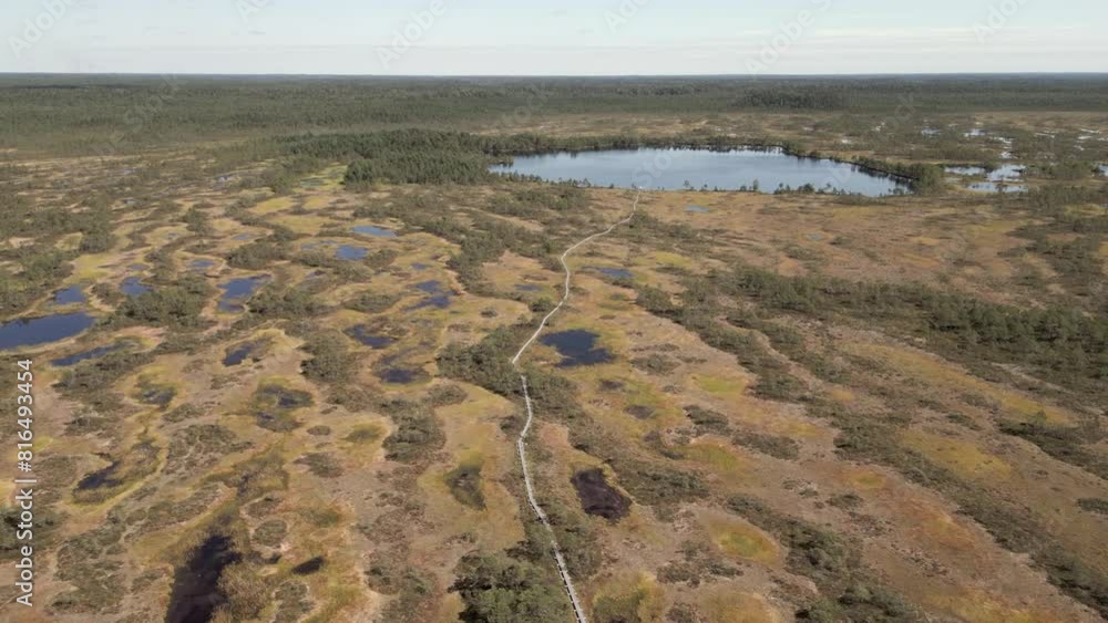 Aerial: Narrow boardwalk leads through northern moor bog to small lake
