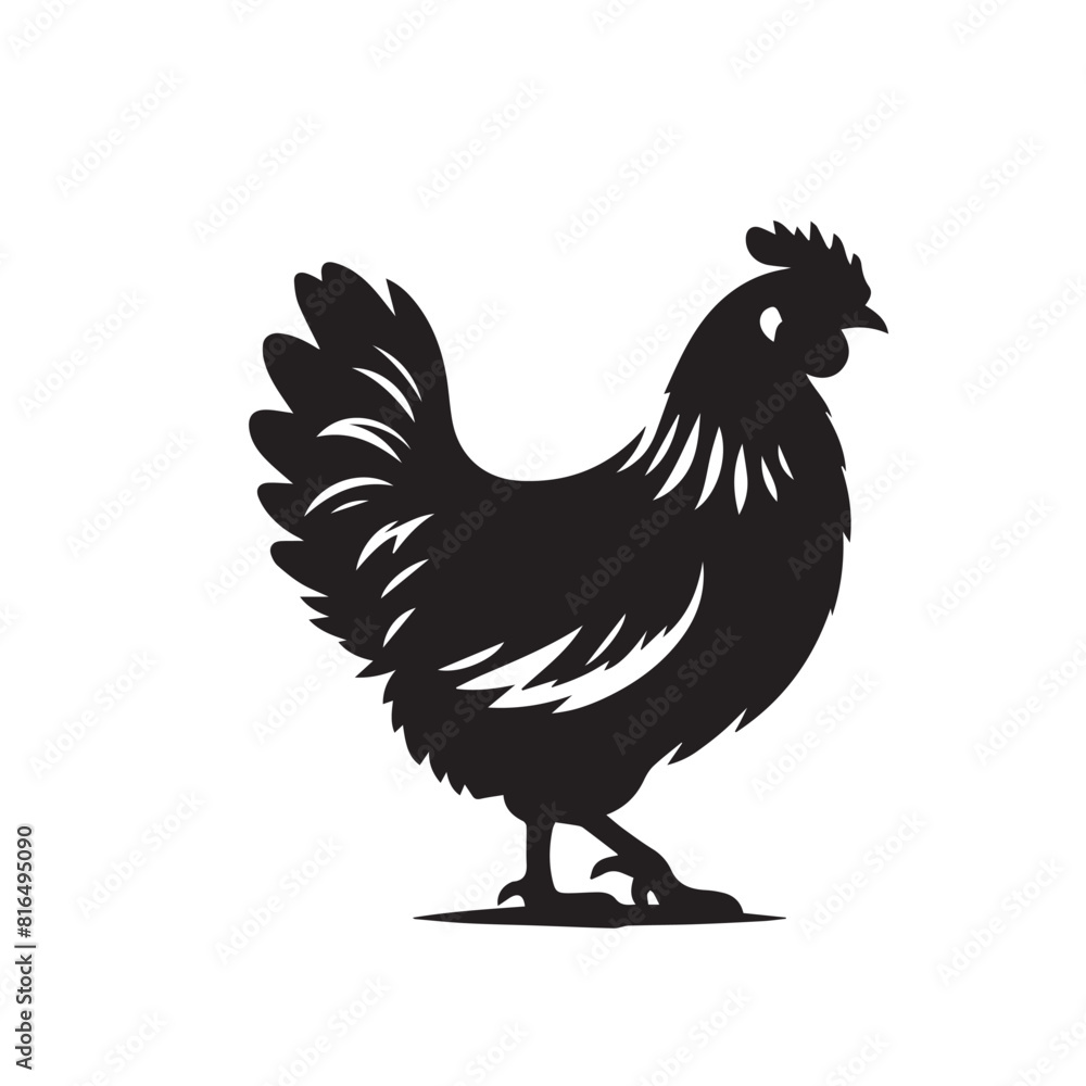 Chicken silhouette. Hen vector design isolated on white background. Chicken silhouette. Hen vector design isolated on white background.
