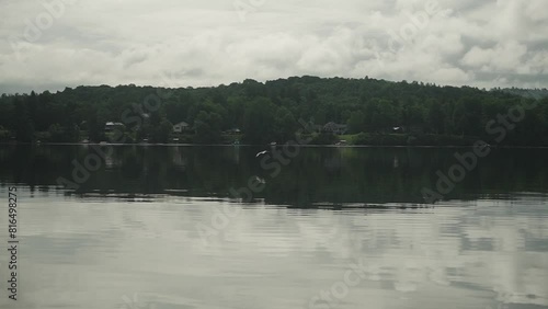 Majestic bird flying over glass calm surface of lake water near Canada tracking gimbal shot super slow motion HD 30p photo