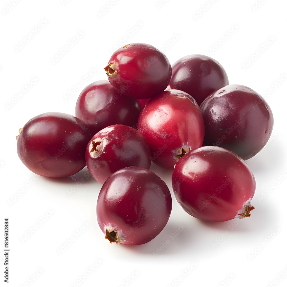 Fototapeta premium cranberry on white background
