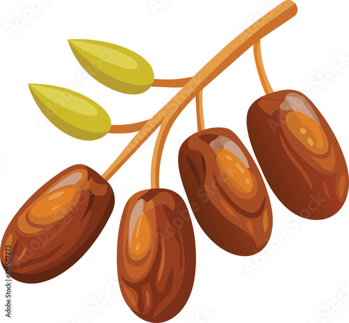 Date fruit with stalk vector illustrations on white background