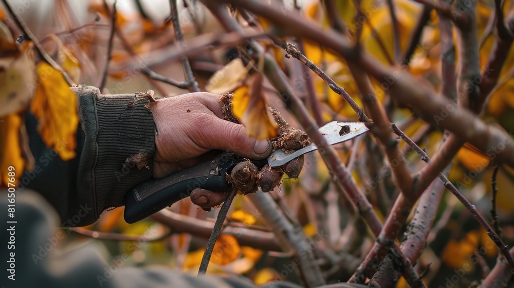 A person using scissors to cut branches, suitable for gardening projects A person using scissors to cut branches, suitable for gardening projects