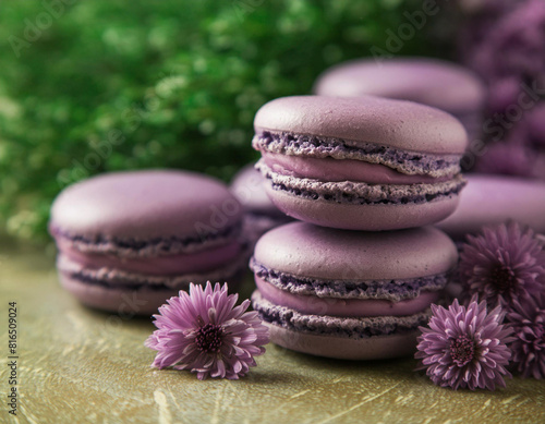 Sweet purple macarons or macaroons and lilac Aster flowers on wooden table