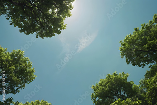 A beautiful view of sky amidst the top of trees