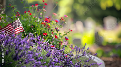 Calm herbal scent from lavender flowers by a Memorial Day flag at a veteran's resting place. photo