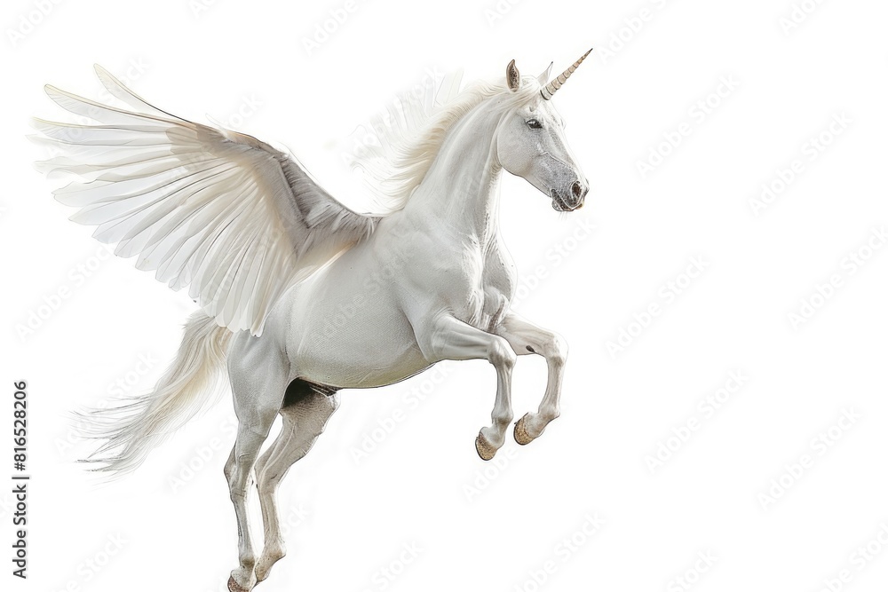 white pegasus fly on white background