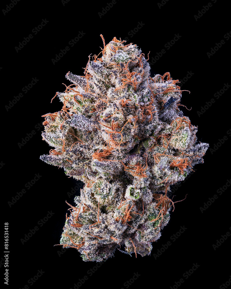 Single dried cannabis nug on black Single dried cannabis nug on black