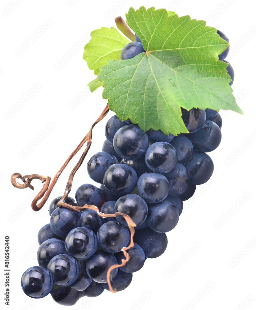 Fototapeta premium Grapes isolated on white