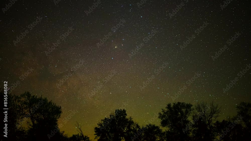 Time-lapse scene of stars moving in the glowing night sky, with a silhouette trees in the foreground Time-lapse scene of stars moving in the glowing night sky, with a silhouette trees in the foreground