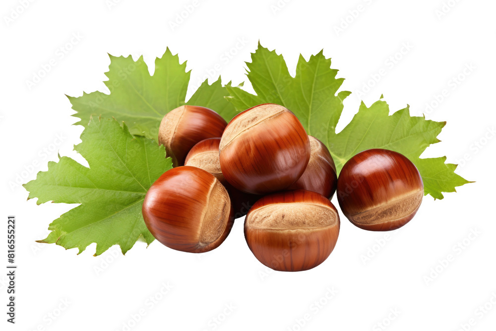 The Nutty Symphony: A Pile of Autumns Bounty on White or PNG Transparent Background. The Nutty Symphony: A Pile of Autumns Bounty on White or PNG Transparent Background.