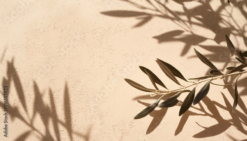 Abstract background shadows branch on beige background. 