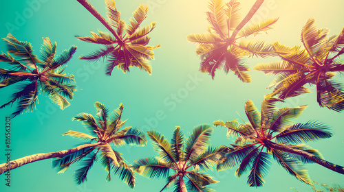 Palm trees against the sky, retro color filter effect, tropical beach theme, vintage style, pastel colors