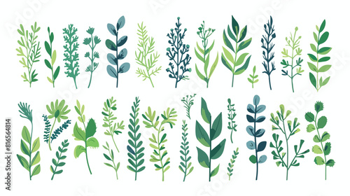 Pattern plants and herbs isolated icon style vector