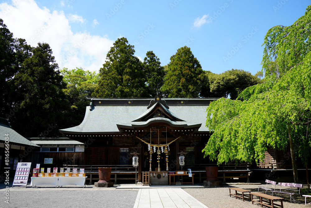 Fototapeta premium 吉田神社