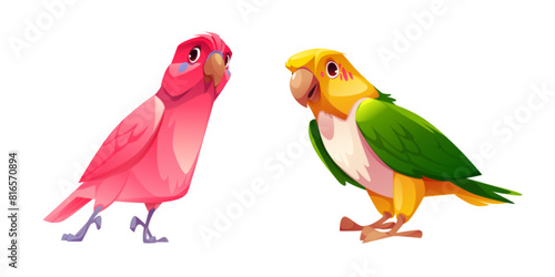 Parrot with bright colorful feathers. Cartoon vector illustration set of cute tropical birds standing. Exotic jungle pink, yellow and green birdie with beak and wings. Wild cheerful animal mascot.