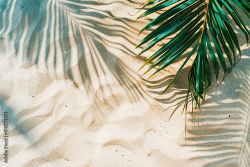top view of beach sand and palm leaf shadow on it, background. minimal summer concept. flat lay