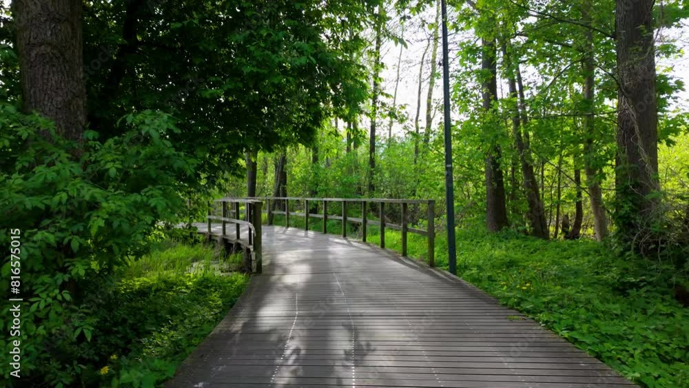 A wooden walkway winding through a lush green forest, surrounded by trees and vegetation, under natural light A wooden walkway winding through a lush green forest, surrounded by trees and vegetation, under natural light