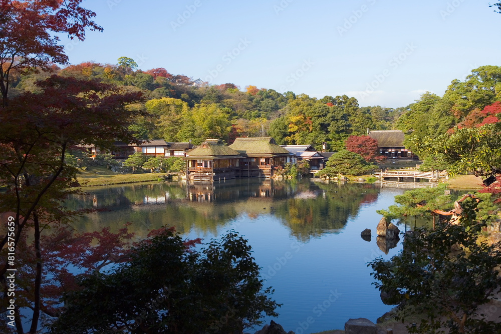 Fototapeta premium 玄宮園 紅葉と彦根城