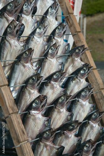 鯖の干物