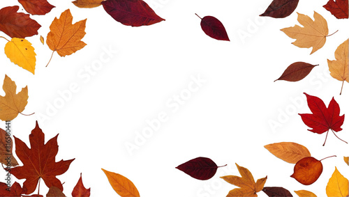 Colorful autumn leaves flying and falling on white background