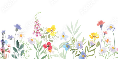 watercolor arrangements with small flower. Botanical illustration minimal style. 