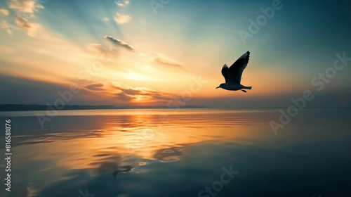 Bird in silhouette flying over a serene lake  soft sunset colors