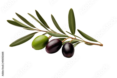 Dancing Olives  A Whimsical Composition of Natures Bounty on White or PNG Transparent Background.