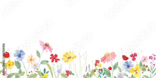 watercolor arrangements with small flower. Botanical illustration minimal style.
