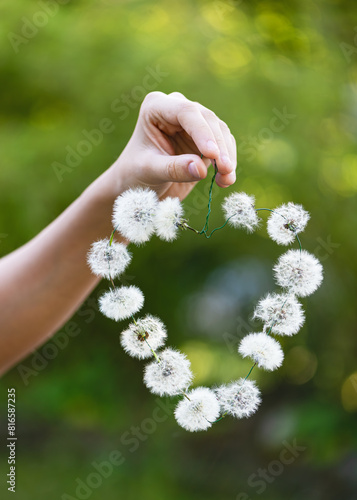 Step 6. All the blowball flowers are open. Dandelions heart decor in a girl's hand. Creative crafts with natural material. Simple DIY concept.
