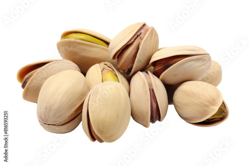 Nutty Wonderland on White or PNG Transparent Background.