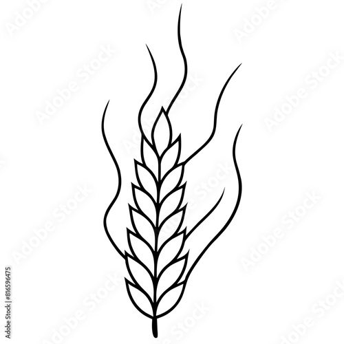 wheat steam isolated