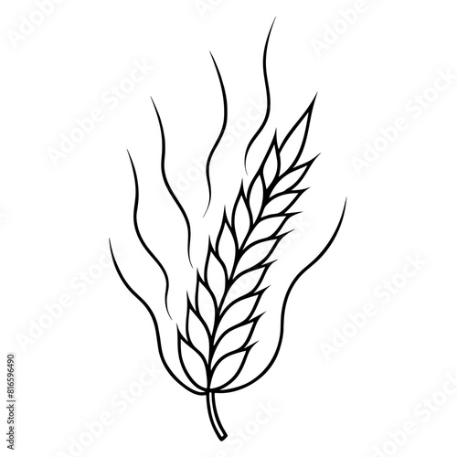 wheat steam isolated